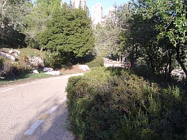 Park in Jerusalem