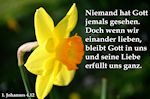 Gottes Wille